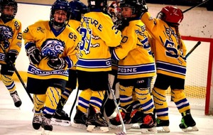 Les Lions de Compiègne espèrent que vous avez été gâtés et vous souhaitent de très joyeuses fêtes de fin d’années 🎉🏒