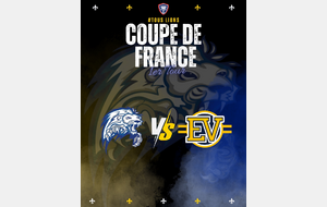 Match coupe de France