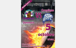 D4 : DAMMARIE LES LYS vs HCC