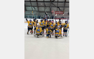 Tournois 3 VS 3 ASNIÈRES SUR SEINE 12h15