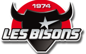 U9 : Tournois des Petits Bisons NEUILLY SUR MARNE