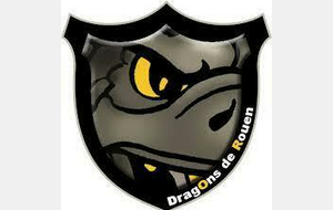 U9 : Tournoi "Mamie GERMOND" Rouen